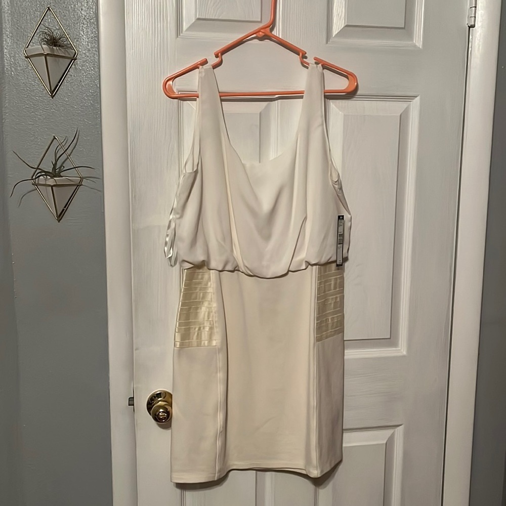 NWT Ivory Tahari dress